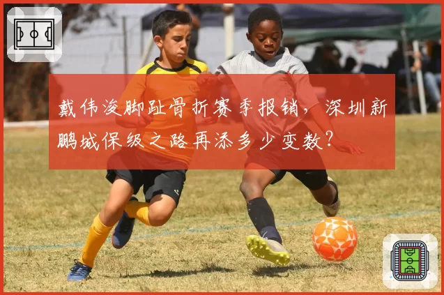 戴伟浚脚趾骨折赛季报销，深圳新鹏城保级之路再添多少变数？