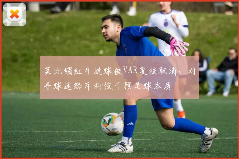 莱比锡红牛进球被VAR复核取消，对手球迷怒斥科技干预足球本质
