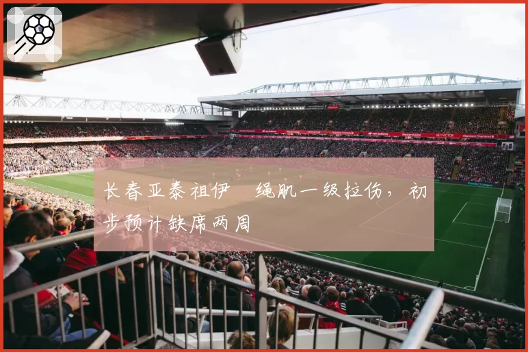 长春亚泰祖伊腘绳肌一级拉伤,初步预计缺席两周